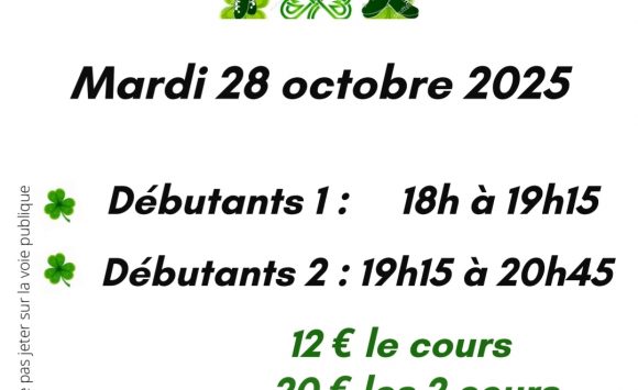 Stage de Danse Irlandaise …
