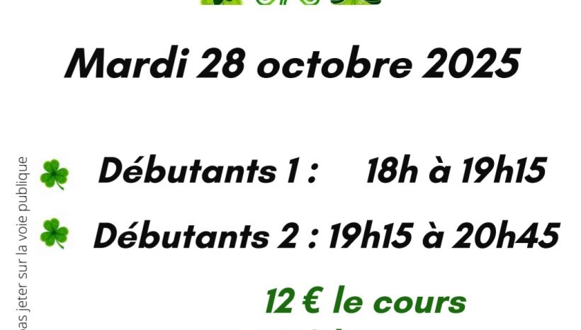 Stage de Danse Irlandaise …